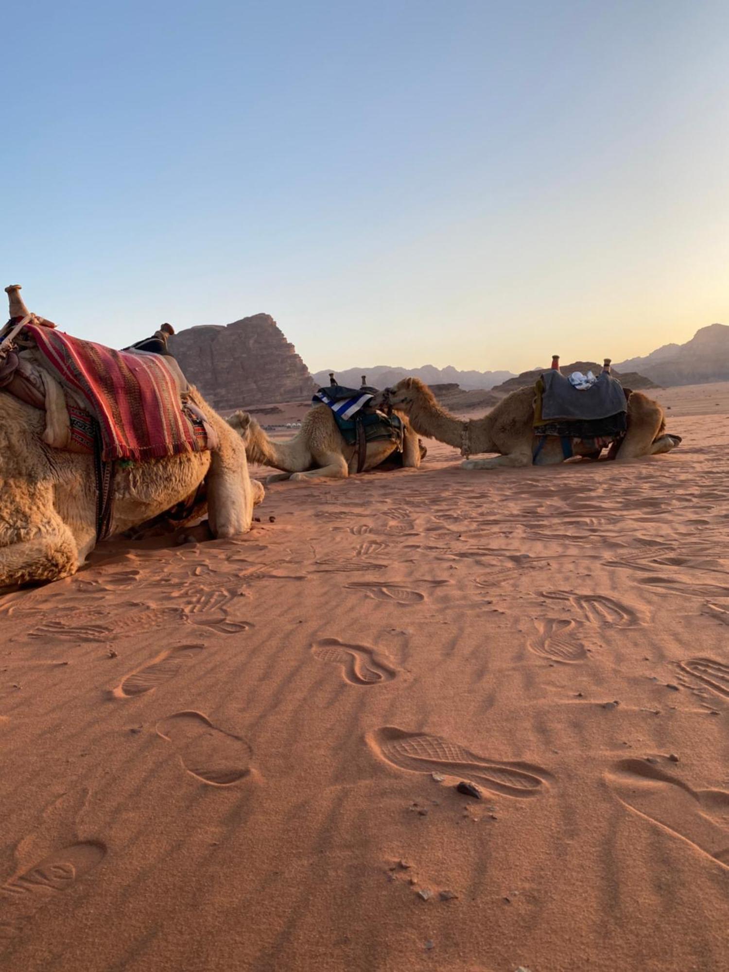 Flower Life Camp Wadi Rum Exterior foto